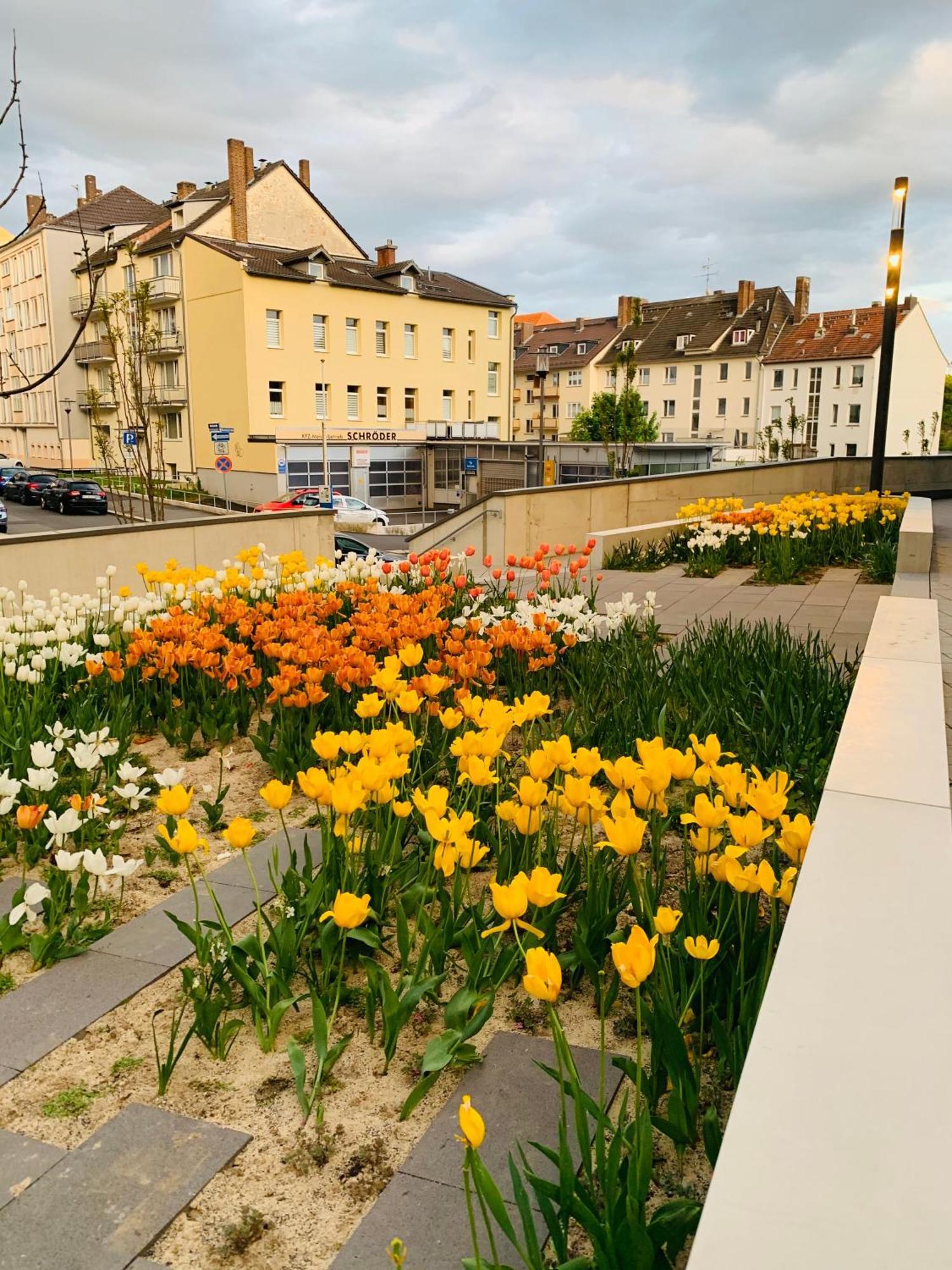 Stadtwohnung Mit Garten Cassel Extérieur photo